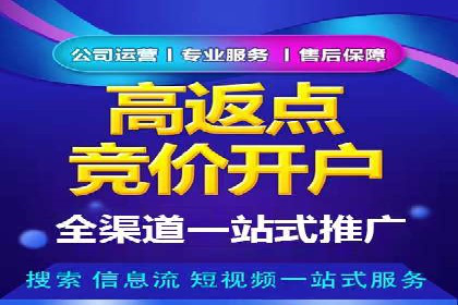 竞价SEM托管服务：成功案例揭秘